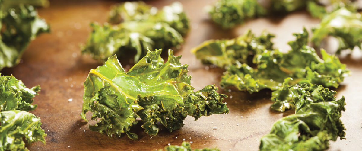 Krunchy Kale Chips - Cocoland